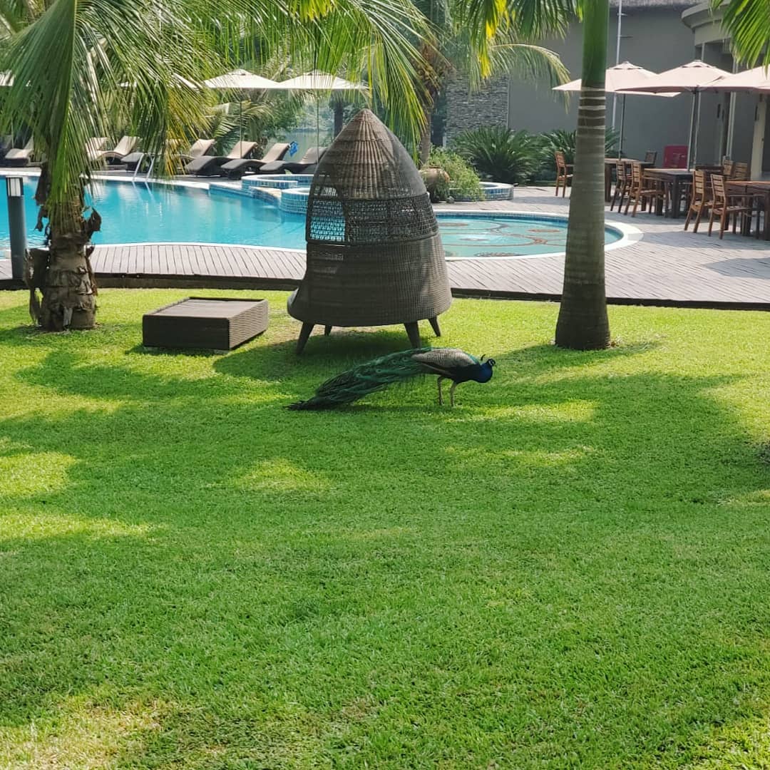 Resort Grounds — Ghana